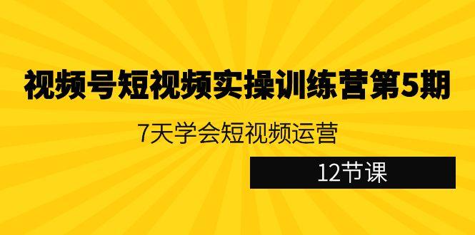 视频号短视频实操训练营第5期:7天学会短视频运营(12节课)-梦想波浪
