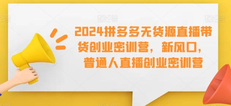 2024拼多多无货源直播带货创业密训营，新风口，普通人直播创业密训营-梦想波浪