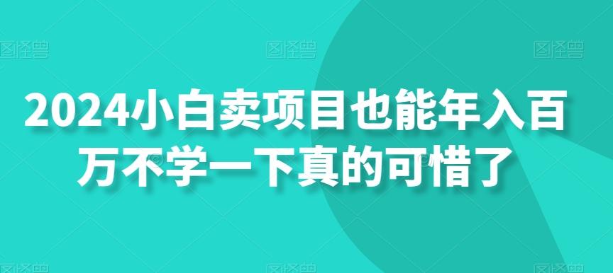 2024小白卖项目也能年入百万不学一下真的可惜了-梦想波浪