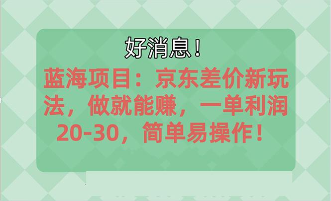 越早知道越能赚到钱的蓝海项目：京东大平台操作，一单利润20-30，简单…-梦想波浪