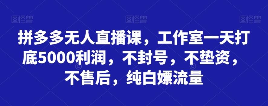 拼多多无人直播课，工作室一天打底5000利润，不封号，不垫资，不售后，纯白嫖流量-梦想波浪