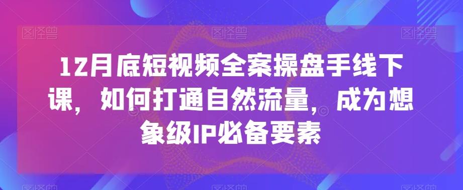 12月底短视频全案操盘手线下课,如何打通自然流量,成为想象级IP必备要素-梦想波浪