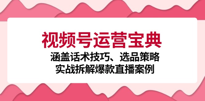 视频号运营宝典:涵盖话术技巧、选品策略、实战拆解爆款直播案例-梦想波浪