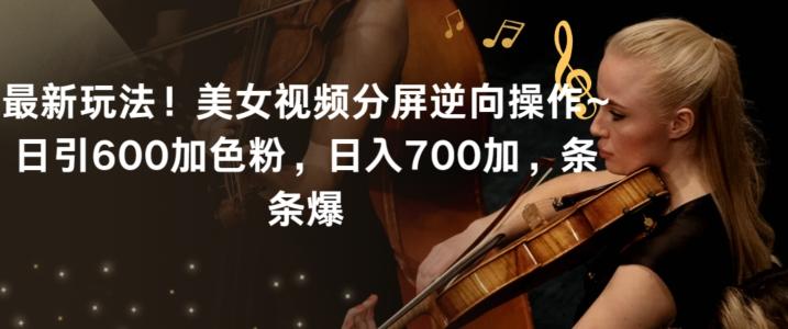 最新玩法！美女视频分屏逆向操作~日引600加色粉，日入700加，条条爆【揭秘】-梦想波浪