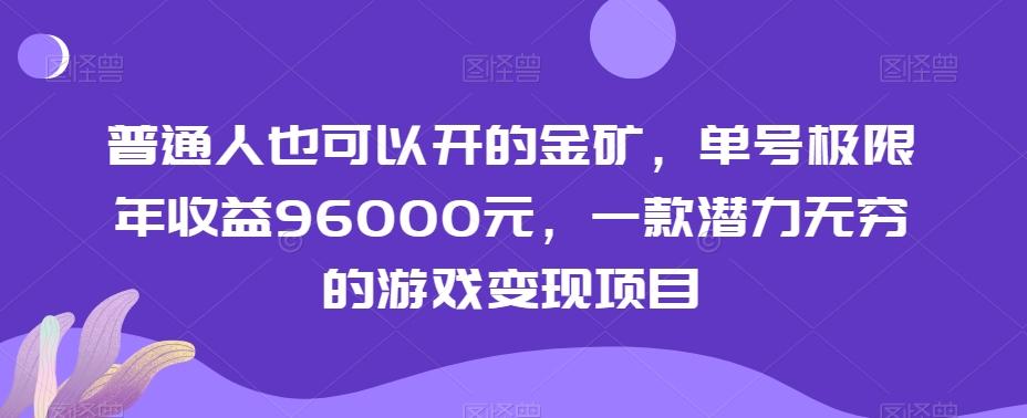 普通人也可以开的金矿，单号极限年收益96000元，一款潜力无穷的游戏变现项目【揭秘】-梦想波浪