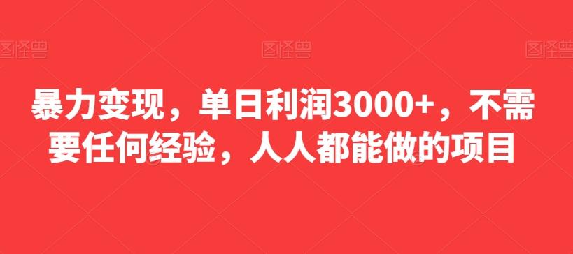 暴力变现，单日利润3000+，不需要任何经验，人人都能做的项目-梦想波浪
