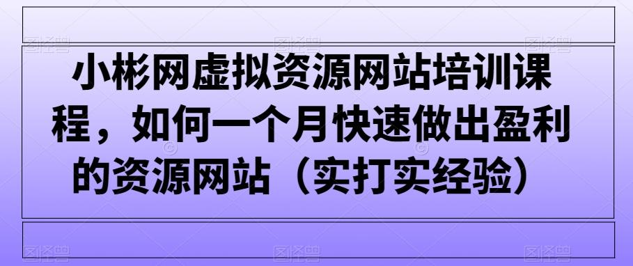 小彬网虚拟资源网站培训课程，如何一个月快速做出盈利的资源网站(实打实经验)-梦想波浪