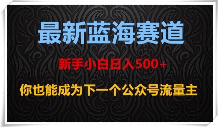 最新蓝海赛道，新手小白日入500+，你也能成为下一个公众号流量主【揭秘】-梦想波浪