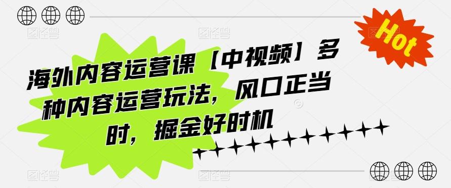 海外内容运营课【中视频】多种内容运营玩法,风口正当时,掘金好时机-梦想波浪