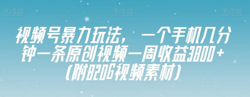 视频号暴力玩法，一个手机几分钟一条原创视频一周收益3800+（附820G视频素材）-梦想波浪