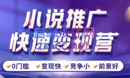洲洲老师·小说推广快速变现营-梦想波浪