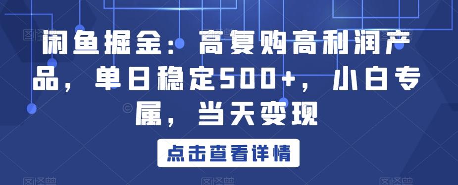闲鱼掘金：高复购高利润产品，单日稳定500+，小白专属，当天变现-梦想波浪