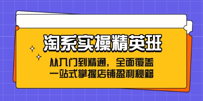 淘系实操精英班：从入门到精通，全面覆盖，一站式掌握店铺盈利秘籍-梦想波浪