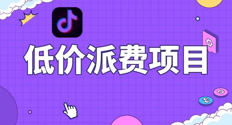 抖音低价派单项目，0门槛，日入1000+很轻松，小白可操作【揭秘】-梦想波浪