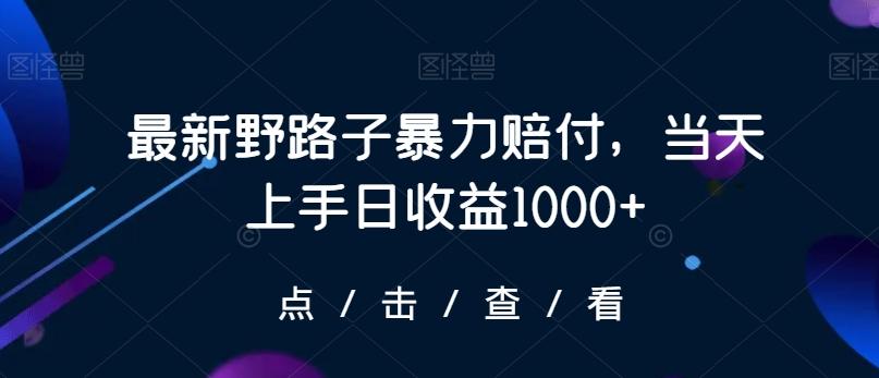 最新野路子暴力赔付，当天上手日收益1000+【仅揭秘】-梦想波浪