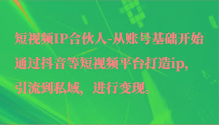 短视频IP合伙人-从账号基础开始通过抖音等短视频平台打造ip，引流到私域，进行变现。-梦想波浪