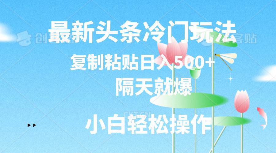 最新头条冷门玩法，隔天就爆，复制粘贴日入500+-梦想波浪