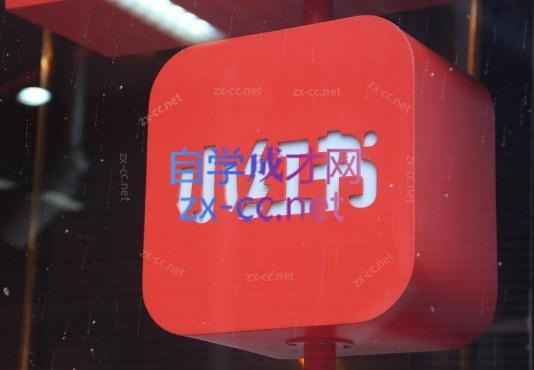 伊伊·红薯【高级班】运营课-梦想波浪