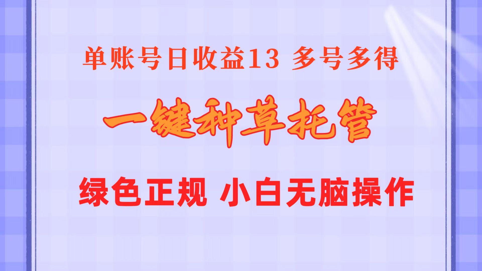 一键种草托管 单账号日收益13元  10个账号一天130  绿色稳定 可无限推广-梦想波浪