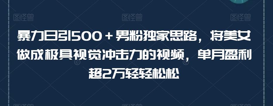 暴力日引500＋男粉独家思路，将美女做成极具视觉冲击力的视频，单月盈利超2万轻轻松松-梦想波浪