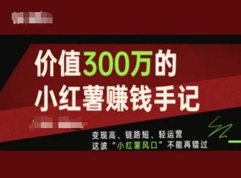 价值300万的小红书赚钱手记，变现高、链路短、轻运营，这波“小红薯风口”不能再错过-梦想波浪