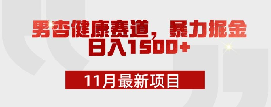 11月最新项目，男杏健康赛道，暴力掘金，日入1500+-梦想波浪