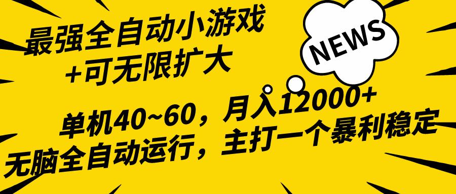 (10046期)2024最新全网独家小游戏全自动，单机40~60,稳定躺赚，小白都能月入过万-梦想波浪