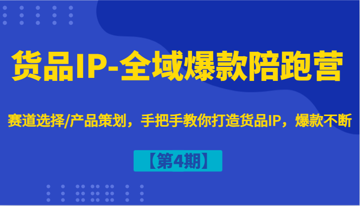 货品IP-全域爆款陪跑营【第4期】赛道选择/产品策划，手把手教你打造货品IP，爆款不断-梦想波浪
