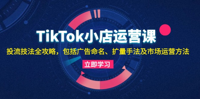 TikTok小店运营课：投流技法全攻略，包括广告命名 扩量手法及市场运营方法-梦想波浪