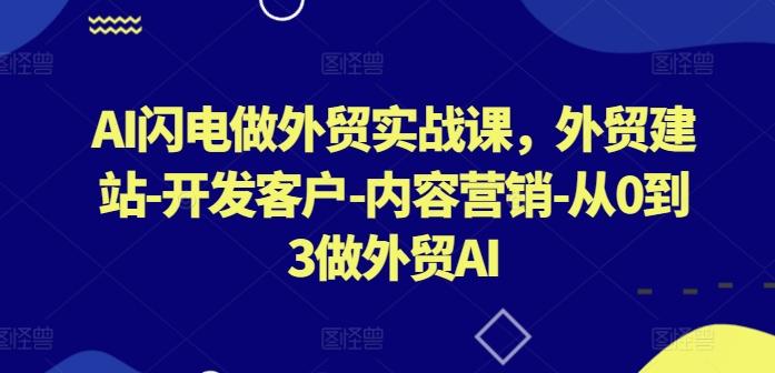 AI闪电做外贸实战课,外贸建站-开发客户-内容营销-从0到3做外贸AI-梦想波浪