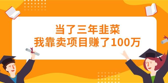 当了三年韭菜我靠卖项目赚了100万-梦想波浪
