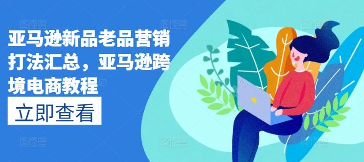 亚马逊新品老品营销打法汇总，亚马逊跨境电商教程-梦想波浪