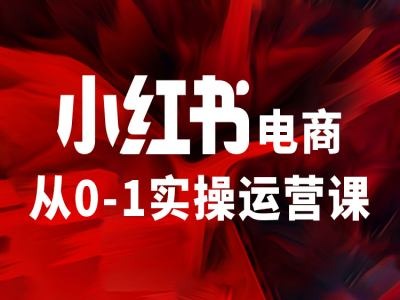 小红书电商从0-1实操运营课，让你从小白到精英-梦想波浪