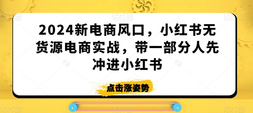 2024新电商风口，小红书无货源电商实战，带一部分人先冲进小红书-梦想波浪