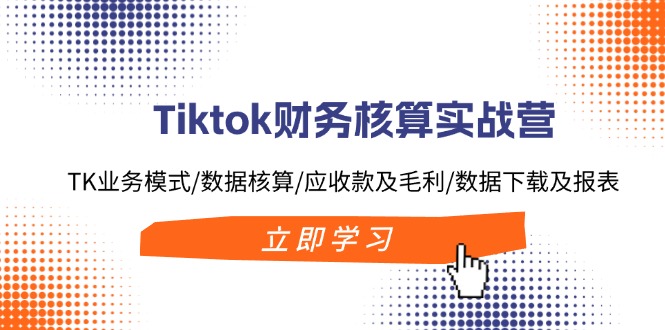 Tiktok财务核算实战营：TK业务模式/数据核算/应收款及毛利/数据下载及报表-梦想波浪