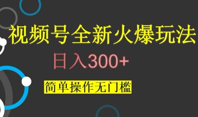 视频号最新爆火玩法，日入300+，简单操作无门槛【揭秘】-梦想波浪