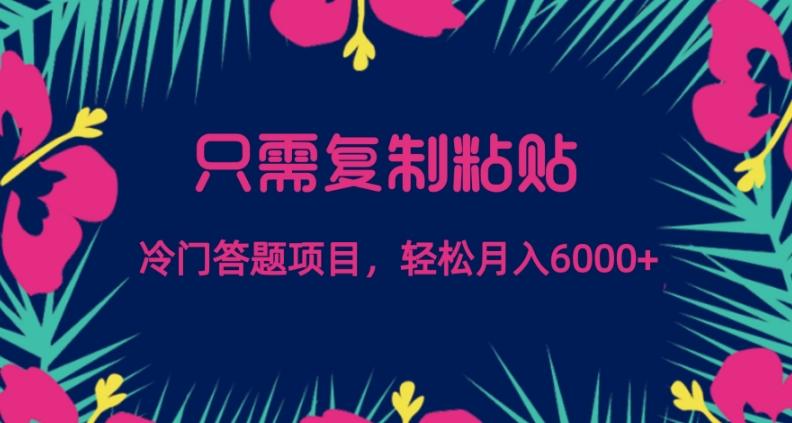只需复制粘贴，冷门答题项目，轻松月入6000-梦想波浪