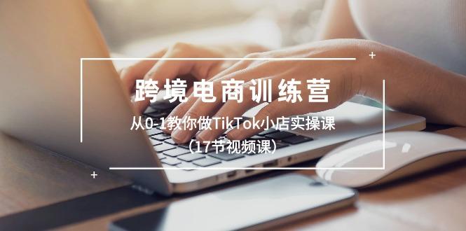跨境电商训练营：从0-1教你做TikTok小店实操课(17节视频课-梦想波浪