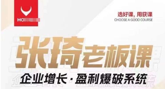 【组合课】张琦张琦老板企业增长·盈利爆破系统（直播专享）-梦想波浪