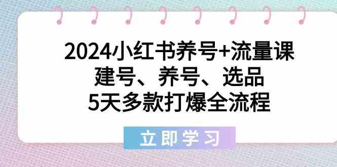 2024小红书养号+流量课：建号、养号、选品，5天多款打爆全流程-梦想波浪