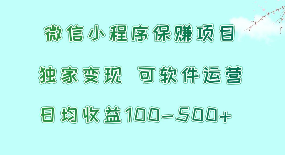 微信小程序保赚项目,日均收益100~500+,独家变现,可软件运营-梦想波浪