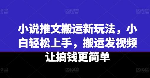 小说推文搬运新玩法,小白轻松上手,搬运发视频让搞钱更简单-梦想波浪