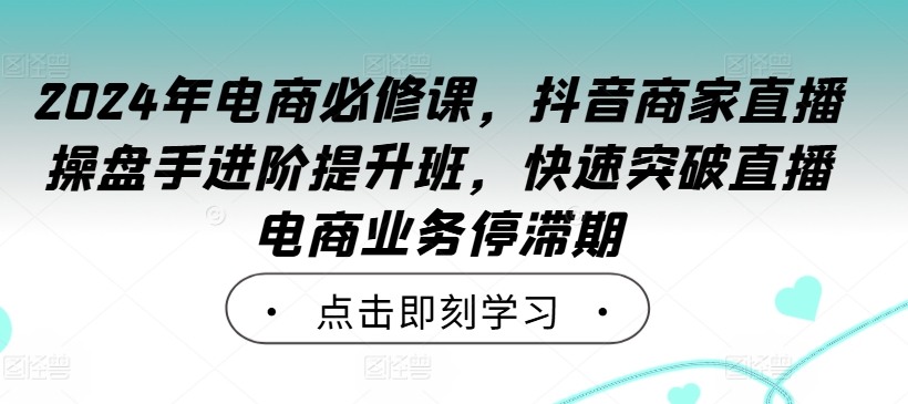 2024年电商必修课，抖音商家直播操盘手进阶提升班，快速突破直播电商业务停滞期-梦想波浪