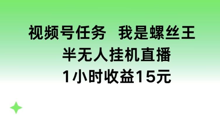 视频号任务，我是螺丝王， 半无人挂机1小时收益15元【揭秘】-梦想波浪