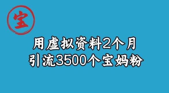 宝哥虚拟资料项目，2个月引流3500个宝妈粉-梦想波浪