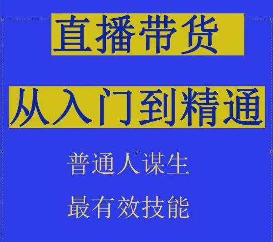 2024抖音直播带货直播间拆解抖运营从入门到精通，普通人谋生最有效技能-梦想波浪