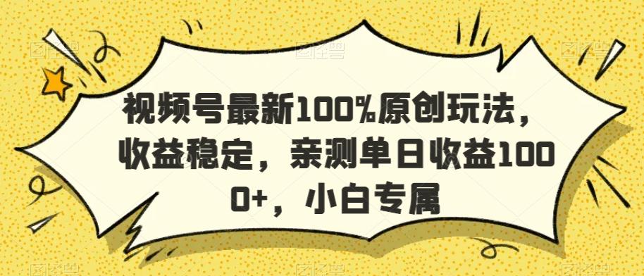 视频号最新100%原创玩法，收益稳定，亲测单日收益1000+，小白专属【揭秘】-梦想波浪