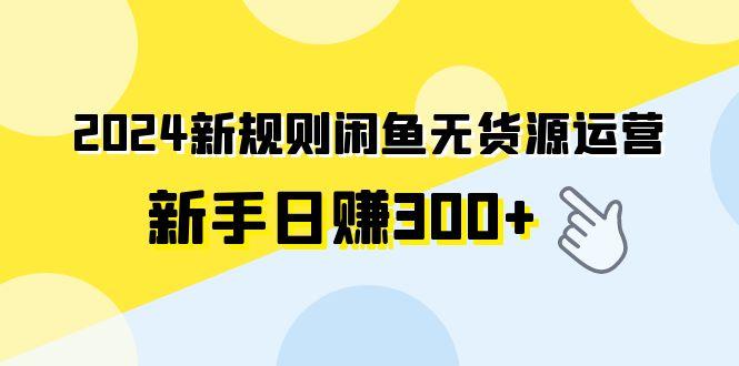 (9522期)2024新规则闲鱼无货源运营新手日赚300+-梦想波浪