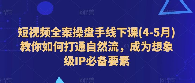 短视频全案操盘手线下课(4-5月)教你如何打通自然流，成为想象级IP必备要素-梦想波浪
