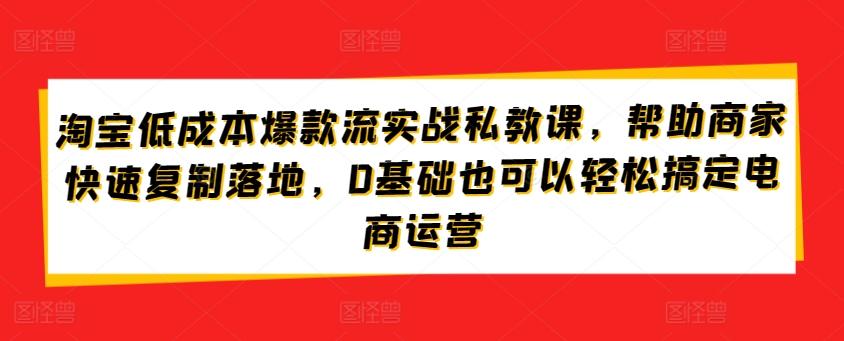 淘宝低成本爆款流实战私教课，帮助商家快速复制落地，0基础也可以轻松搞定电商运营-梦想波浪